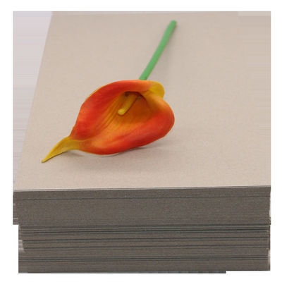 Fabrica Fornecedora Nova Marca Difícil Duplo Lado de Apoio Modelo Material Papelão Cinzento