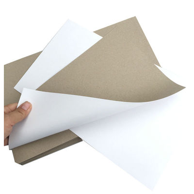 Cartão de papel duplex branco de um lado 200Gsm 230Gsm 250Gsm 300Gsm 350Gsm 400Gsm 450Gsm