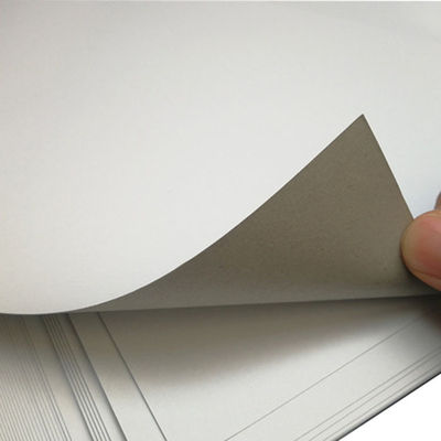 Papel revestido de um lado, matéria-prima, papel duplex com parte traseira cinzenta, tamanho personalizado