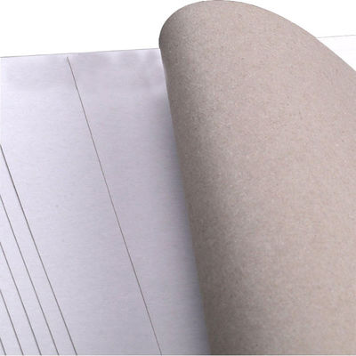Superfície lisa revestida de papel duplex com parte traseira cinza Serviço OEM ODM