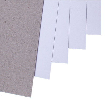 Superfície lisa revestida de papel duplex com parte traseira cinza Serviço OEM ODM