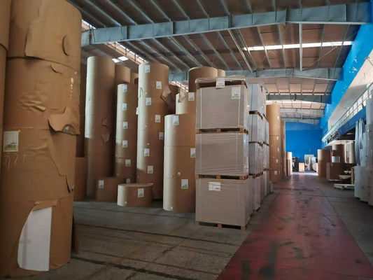 Cartão duplex revestido Grão 700x1000 mm Cartão de papel branco de um lado