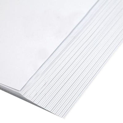 60 gm 70 gm 80 gm Papel de Impressão Offset Branco Rolo de Papel Sem Madeira