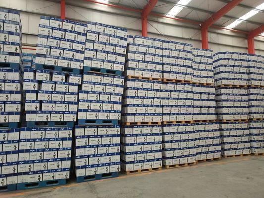 Papel de impressão offset de tamanho personalizado Papel branco não revestido sem madeira