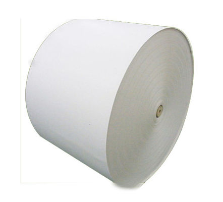 255 gm 275 gm 305 gm Placa de branqueamento branca/Placa de marfim/FBB Fabricante em granel