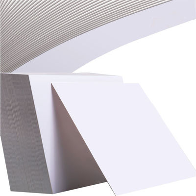 Gc1 Gc2 Fbb C2s C1s Cartão de marfim Cartão de papel Fbb Copo de papel de cartão de marfim Matéria prima