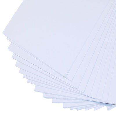 Gc1 Gc2 Fbb C2s C1s Cartão de marfim Cartão de papel Fbb Copo de papel de cartão de marfim Matéria prima