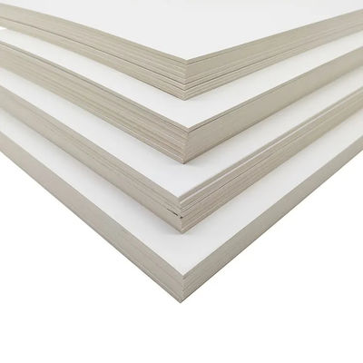 C2S Art Board/Art Card Paper 300 gsm para impressão e embalagem em sacos