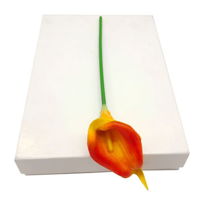 170 gm-400 gm de papel branco de papelão folha / rolo revestimento de lado duplo