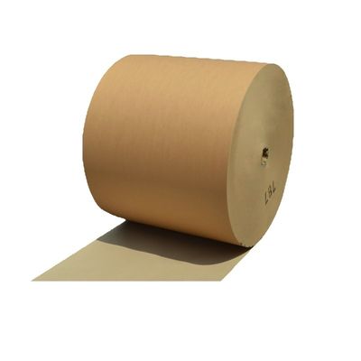 Papel Kraft Eco Amigável Custom Single Double Wall Pe Coated Roll