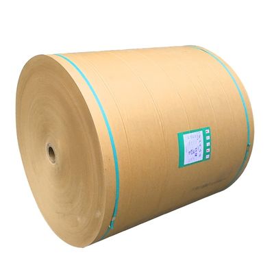 Papel Kraft Eco Amigável Custom Single Double Wall Pe Coated Roll