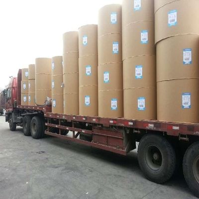 Papel Kraft Eco Amigável Custom Single Double Wall Pe Coated Roll