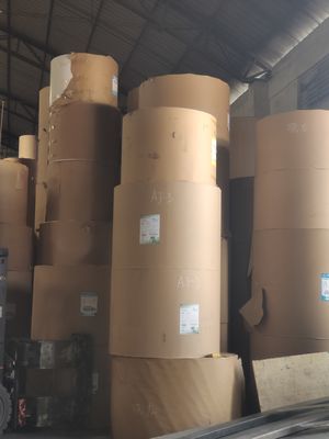 Papel revestido de Kraft Liner para impressão offset e encomenda personalizada aceita