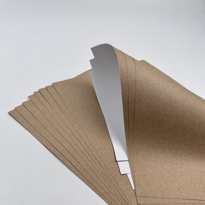 Pintura de revestimento Papel Jumbo com revestimento PE