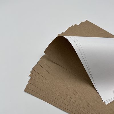 Pintura de revestimento Papel Jumbo com revestimento PE