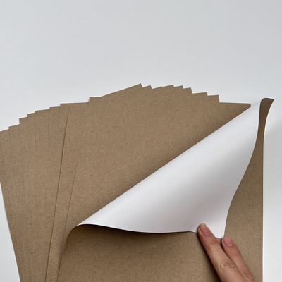 Pintura de revestimento Papel Jumbo com revestimento PE