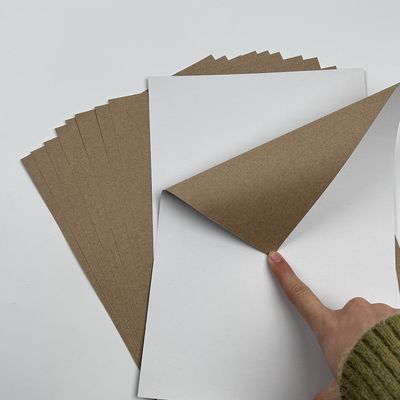 C1S Papel de cartão duplex revestido por Kraft em folha ou rolos