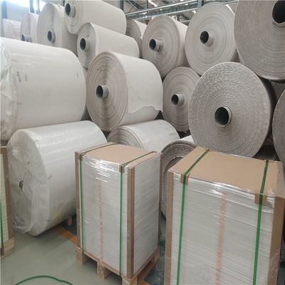 Papel de pedra reciclável resistente à água 100um 120um Papel de impressão de notebooks Tamanho cortado